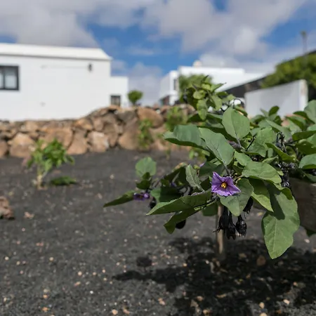 El Jable Lanzarote Alojamento de Acomodação e Pequeno-almoço 4*