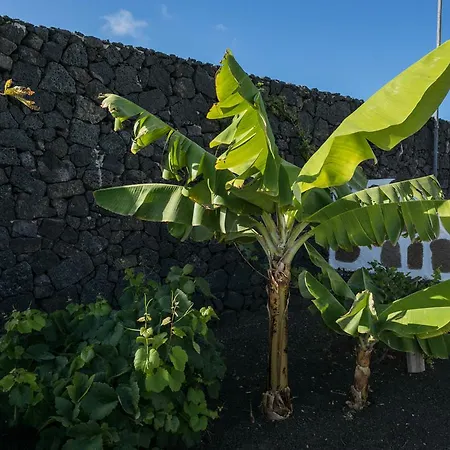 El Jable Lanzarote Bed & Breakfast