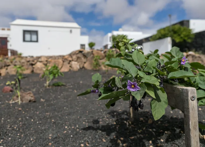 El Jable Lanzarote Bed and breakfast 4*