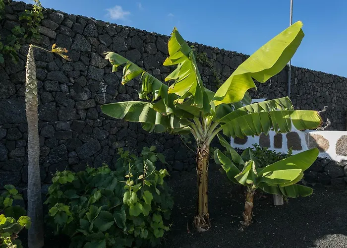 El Jable Lanzarote Bed and breakfast