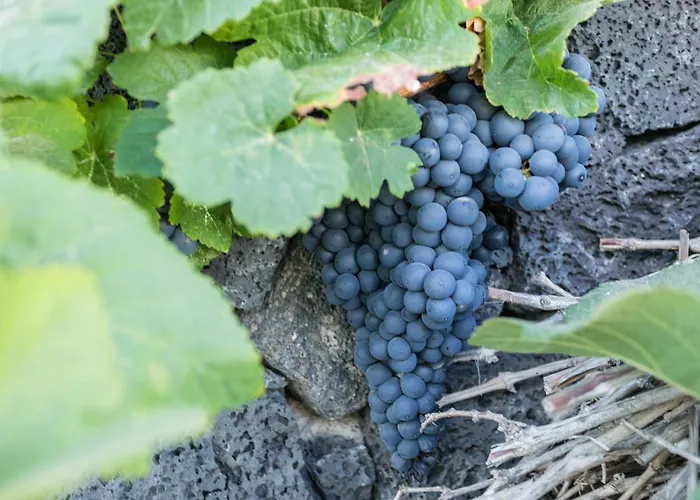 Bed and breakfast El Jable Lanzarote 4*